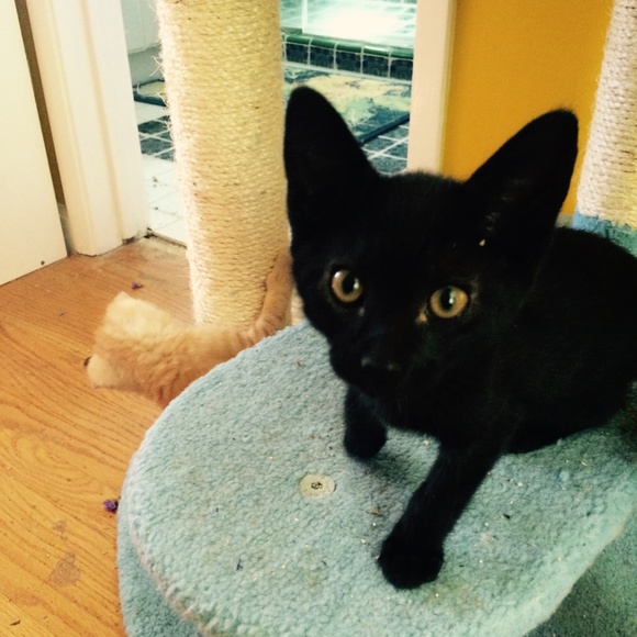 Meet your Posher, Redmontster. - Picture 6 of 15